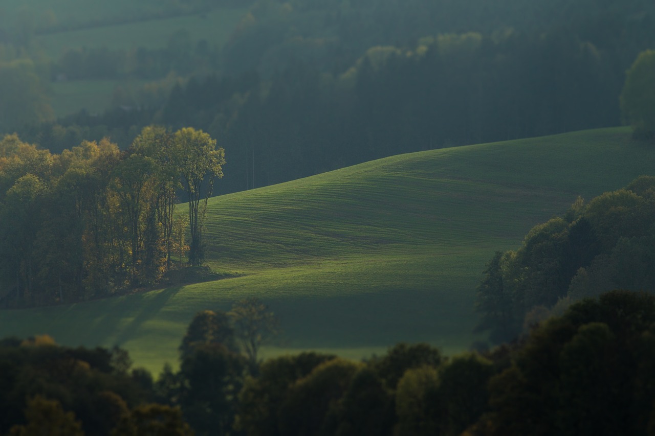 Home meadow, trees, landscape, nature, rural, summer, fall, green, field, hill, idyllic, venom design, fall, green, green, green, green, green